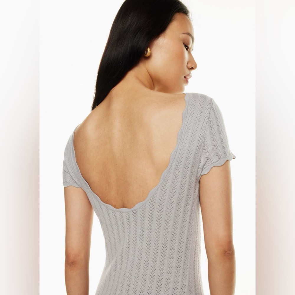 Wilfred Aritzia Upon Dress
